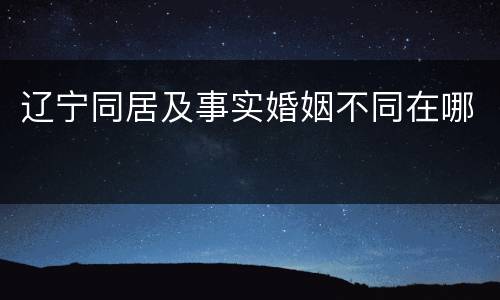 辽宁同居及事实婚姻不同在哪