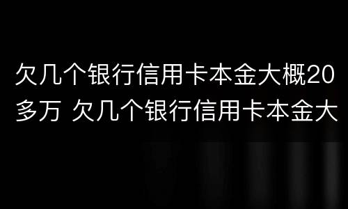 欠几个银行信用卡本金大概20多万 欠几个银行信用卡本金大概20多万怎么办