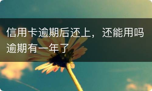 信用卡逾期后还上，还能用吗逾期有一年了