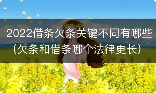 2022借条欠条关键不同有哪些（欠条和借条哪个法律更长）