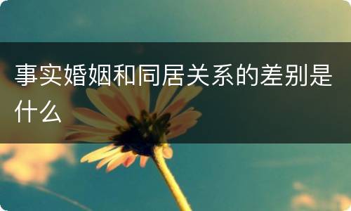 事实婚姻和同居关系的差别是什么