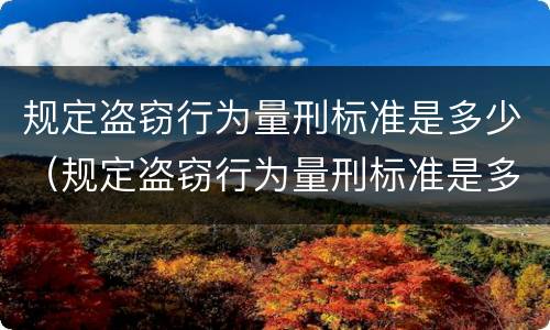 规定盗窃行为量刑标准是多少（规定盗窃行为量刑标准是多少条）
