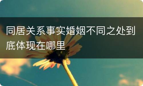 同居关系事实婚姻不同之处到底体现在哪里