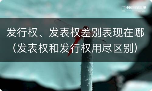 发行权、发表权差别表现在哪（发表权和发行权用尽区别）