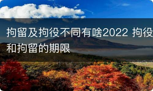 拘留及拘役不同有啥2022 拘役和拘留的期限