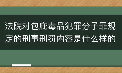 法院对包庇毒品犯罪分子罪规定的刑事刑罚内容是什么样的