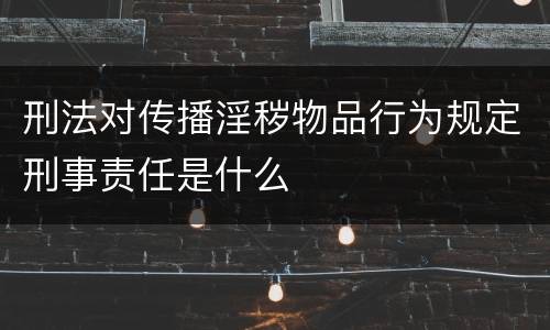 刑法对传播淫秽物品行为规定刑事责任是什么