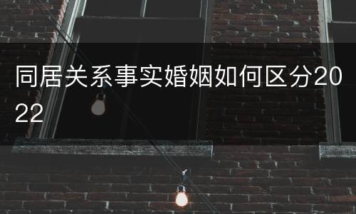 同居关系事实婚姻如何区分2022