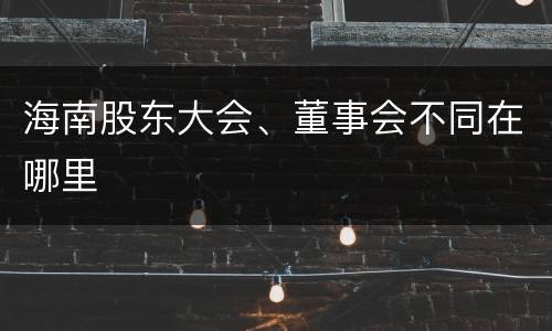 海南股东大会、董事会不同在哪里