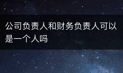 公司负责人和财务负责人可以是一个人吗