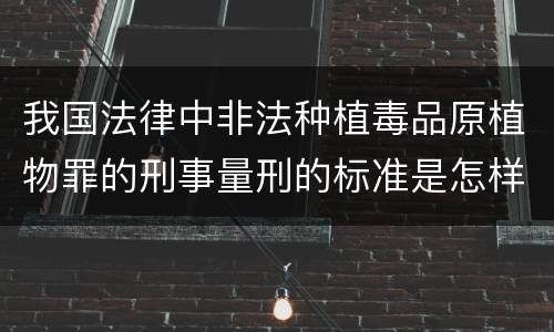 我国法律中非法种植毒品原植物罪的刑事量刑的标准是怎样的