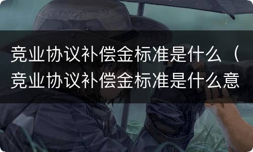 竞业协议补偿金标准是什么（竞业协议补偿金标准是什么意思）