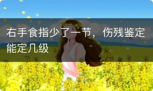 右手食指少了一节，伤残鉴定能定几级