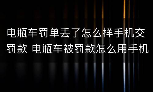 电瓶车罚单丢了怎么样手机交罚款 电瓶车被罚款怎么用手机缴纳没有罚单丢了