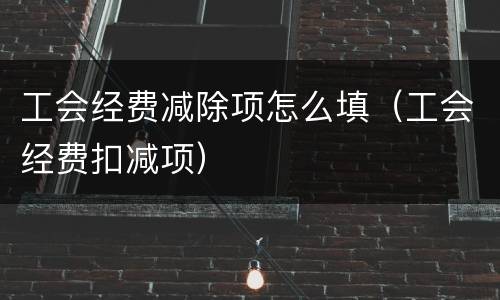 工会经费减除项怎么填（工会经费扣减项）