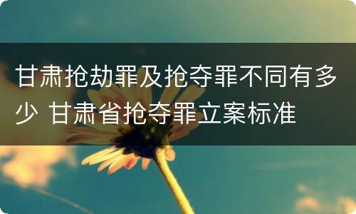 甘肃抢劫罪及抢夺罪不同有多少 甘肃省抢夺罪立案标准