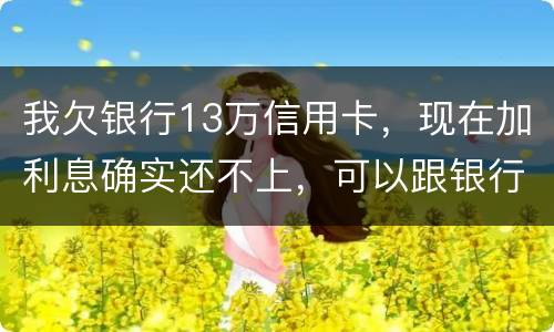 我欠银行13万信用卡，现在加利息确实还不上，可以跟银行申请停止利息只还本金吗