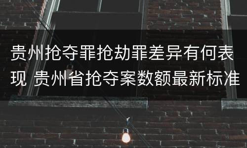 贵州抢夺罪抢劫罪差异有何表现 贵州省抢夺案数额最新标准