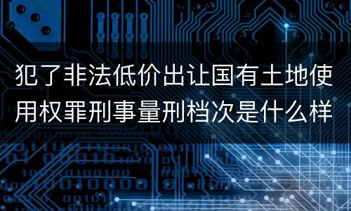 犯了非法低价出让国有土地使用权罪刑事量刑档次是什么样