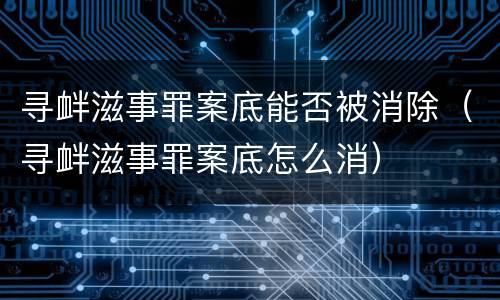 寻衅滋事罪案底能否被消除（寻衅滋事罪案底怎么消）