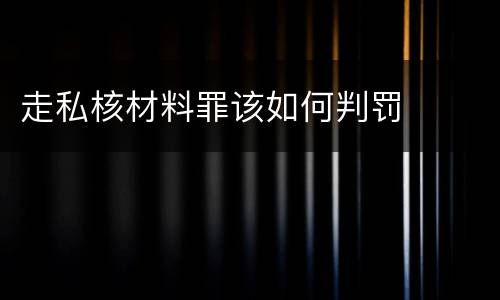 走私核材料罪该如何判罚