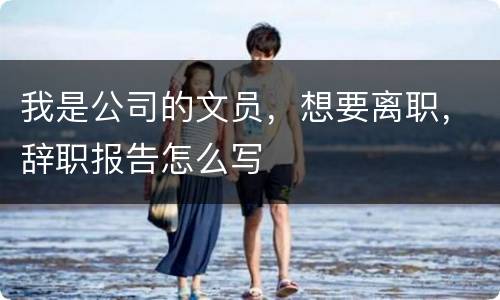我是公司的文员，想要离职，辞职报告怎么写