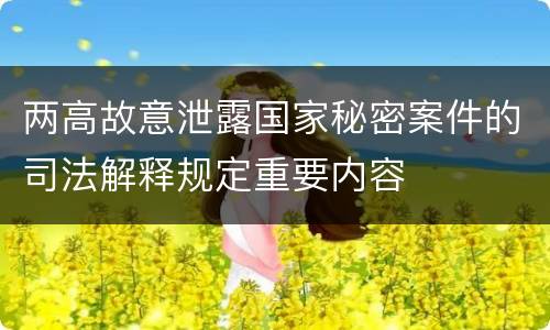 两高故意泄露国家秘密案件的司法解释规定重要内容