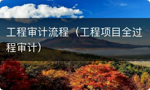 工程审计流程（工程项目全过程审计）