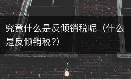 究竟什么是反倾销税呢（什么是反倾销税?）