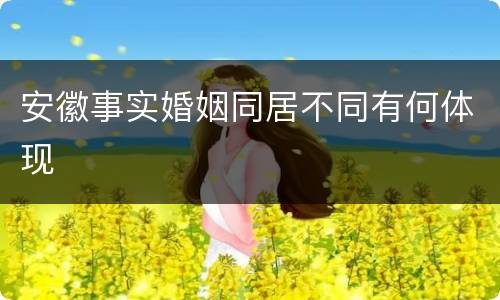 安徽事实婚姻同居不同有何体现