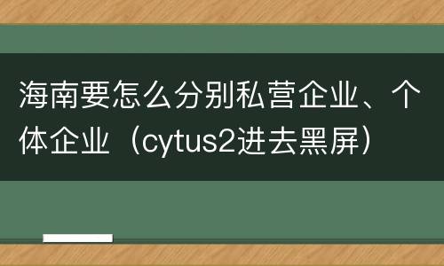 海南要怎么分别私营企业、个体企业（cytus2进去黑屏）