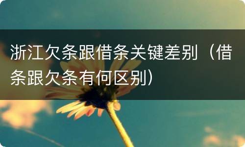 浙江欠条跟借条关键差别（借条跟欠条有何区别）