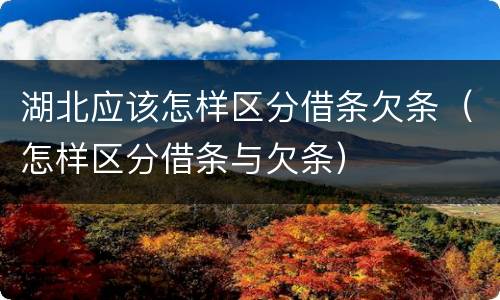 湖北应该怎样区分借条欠条（怎样区分借条与欠条）