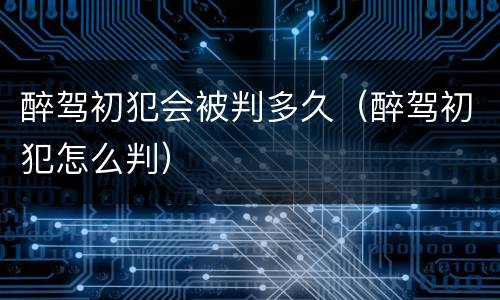 醉驾初犯会被判多久（醉驾初犯怎么判）