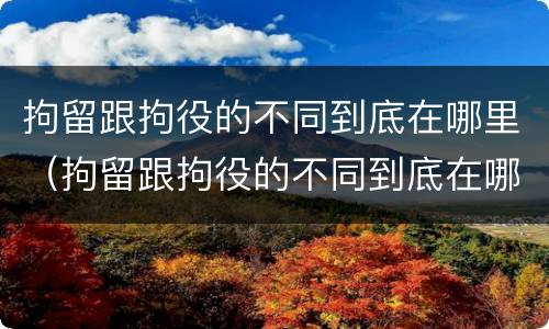 拘留跟拘役的不同到底在哪里（拘留跟拘役的不同到底在哪里执行）