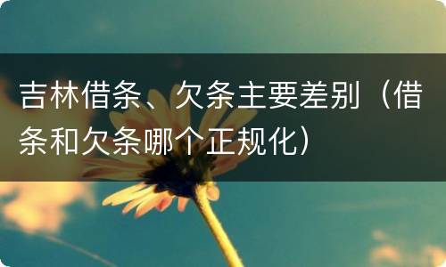 吉林借条、欠条主要差别（借条和欠条哪个正规化）