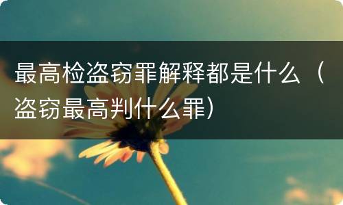 最高检盗窃罪解释都是什么（盗窃最高判什么罪）