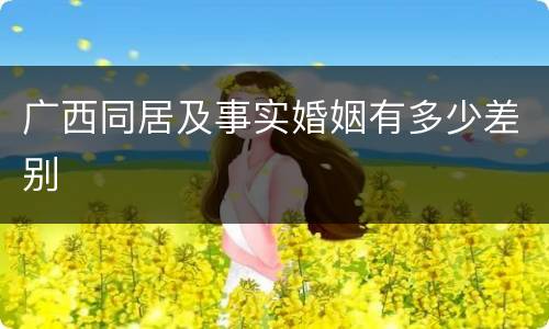 广西同居及事实婚姻有多少差别