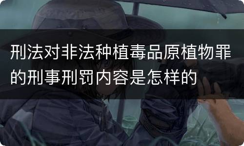 刑法对非法种植毒品原植物罪的刑事刑罚内容是怎样的