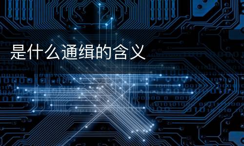 是什么通缉的含义