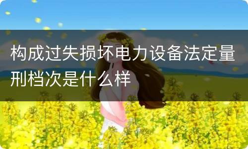 构成过失损坏电力设备法定量刑档次是什么样