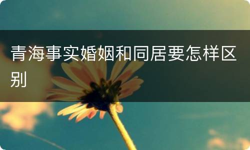 青海事实婚姻和同居要怎样区别