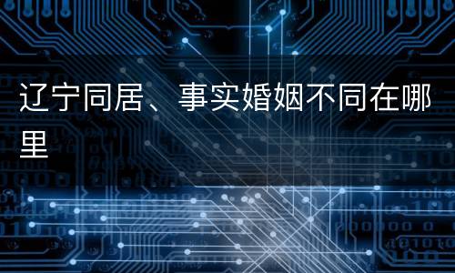 辽宁同居、事实婚姻不同在哪里