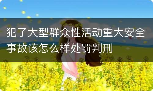 犯了大型群众性活动重大安全事故该怎么样处罚判刑