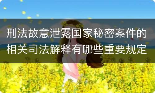 刑法故意泄露国家秘密案件的相关司法解释有哪些重要规定