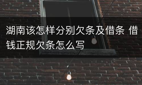 湖南该怎样分别欠条及借条 借钱正规欠条怎么写