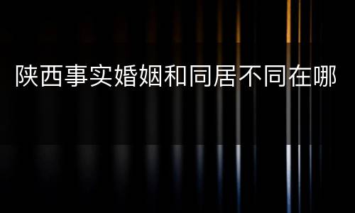 陕西事实婚姻和同居不同在哪