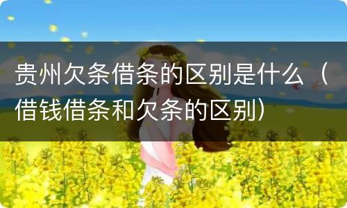 贵州欠条借条的区别是什么（借钱借条和欠条的区别）