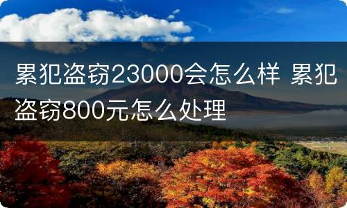 累犯盗窃23000会怎么样 累犯盗窃800元怎么处理