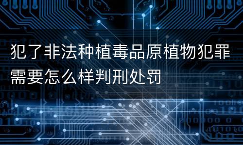 犯了非法种植毒品原植物犯罪需要怎么样判刑处罚